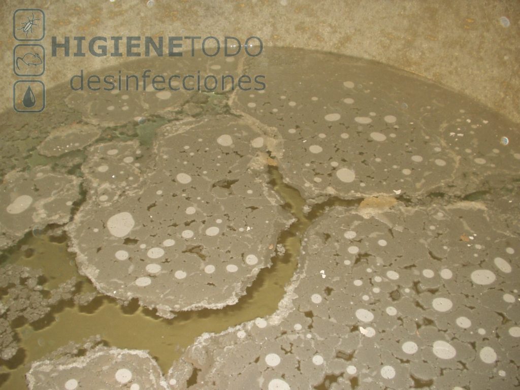 Líderes en limpieza y desinfección de aljibes y depósitos de agua en Alicante.